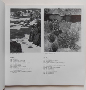 麻田鷹司、上原卓〔図録の図版・作家略歴のページより〕