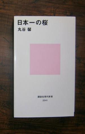 日本一の桜